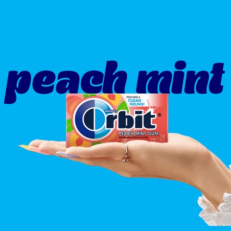 Orbit Sugar Free Peach Mint Singles 14 Pieces