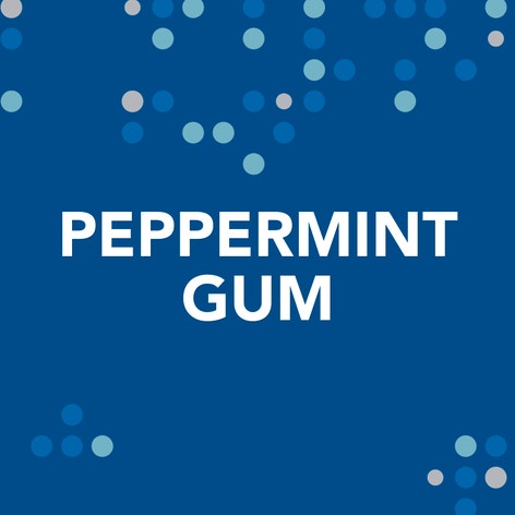 ORBIT Peppermint Sugarfree Chewing Gum, 14 Piece Single Pack