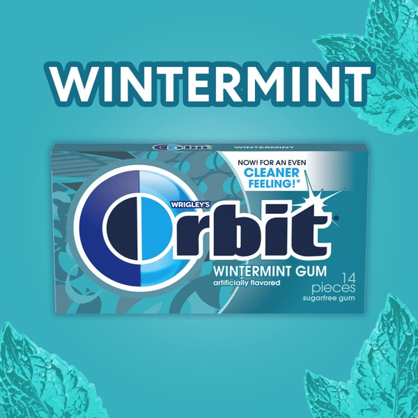 ORBIT Wintermint Sugarfree Chewing Gum, 14 Piece Pack (Pack of 12) Orbit Gum